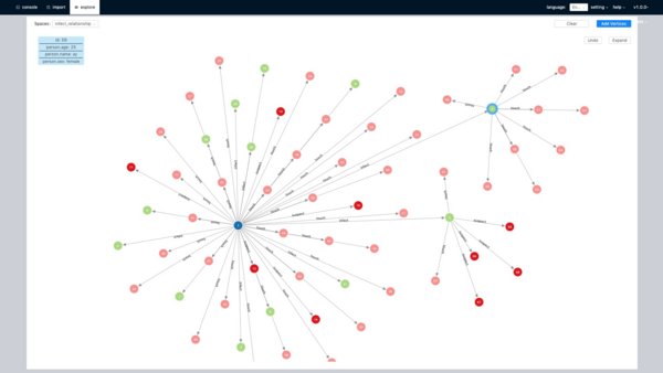 Nebula Graph Studio 界面图