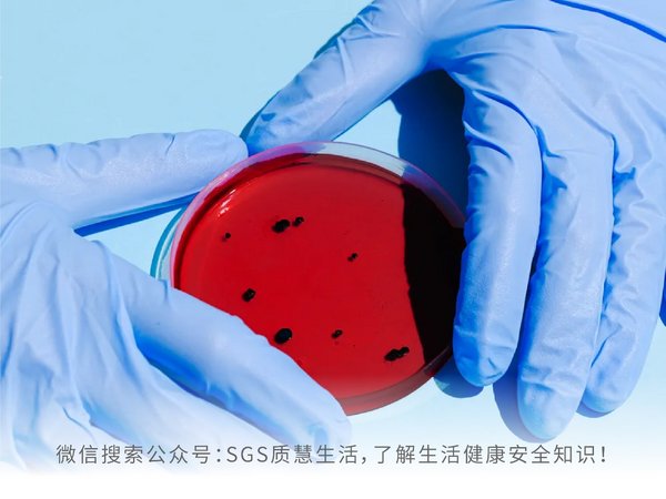 SGS质慧生活：如何正确选择并清理砧板 避免黄曲霉毒素污染