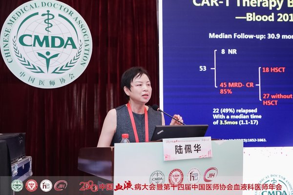 陆佩华院长在会议现场