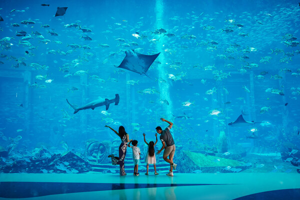 三亚·亚特兰蒂斯水族馆