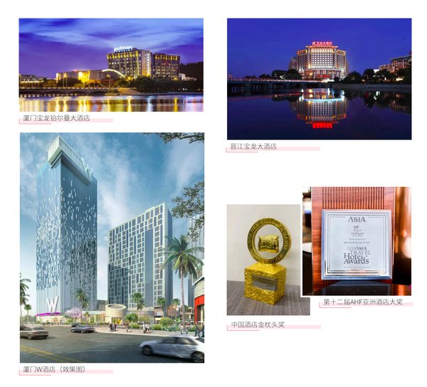 宝龙集团成立30周年 宝龙酒店逐艺而行“让空间有爱”