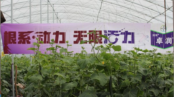 拜耳卓润产品带来“根系动力，无限活力”