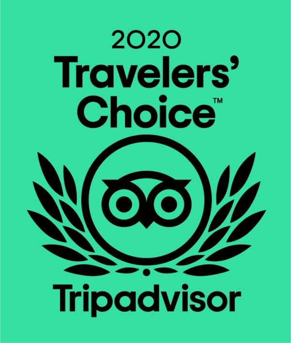 2020年度猫途鹰旅行者之选