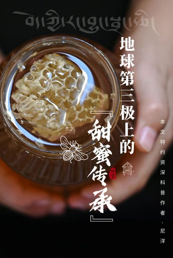 西藏雪顿节来临，地球第三极优选西藏天然蜜献上甜蜜惊喜