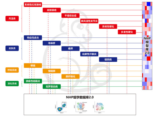 HKEY-NHP-MATRIX2.0