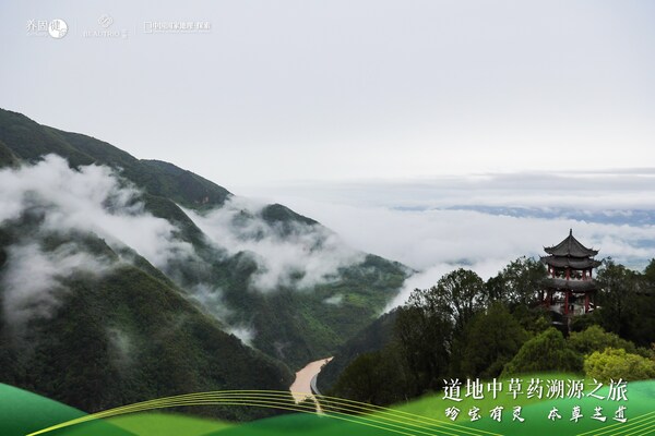 养固健×萃雅溯源汉中灵芝：道地仙草织就乡村振兴纽带