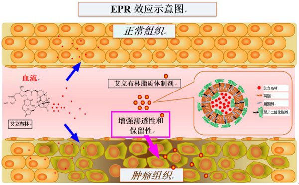 经东京理科大学Nishikawa教授许可后修改了图文